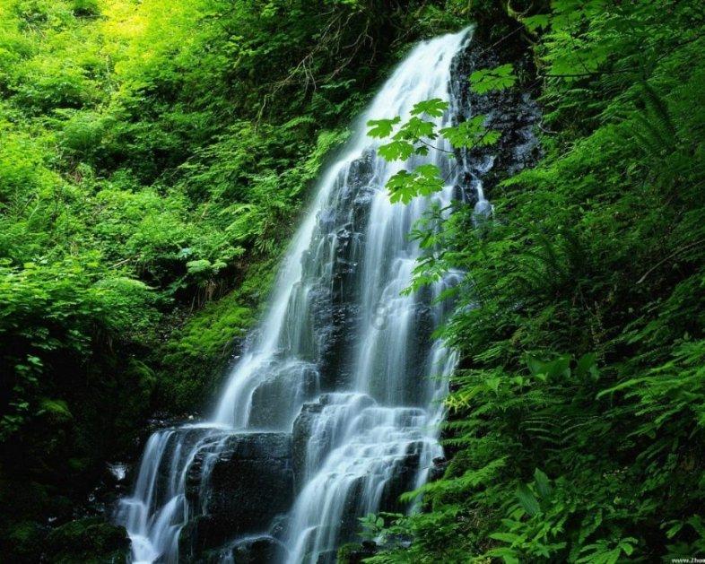 吉伦沃特砍37分5篮板1助攻,山东男篮主场98-102不敌新疆男篮